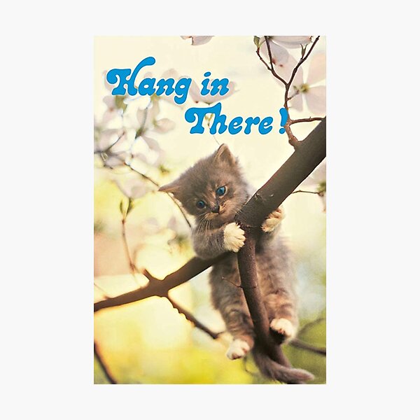 Item preview, Nice Cat Hang In There Poster designed and sold by imagepirre.