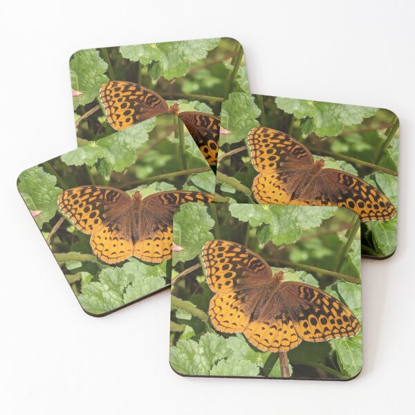 Item preview, Butterfly sunbathing designed and sold by memorguson.