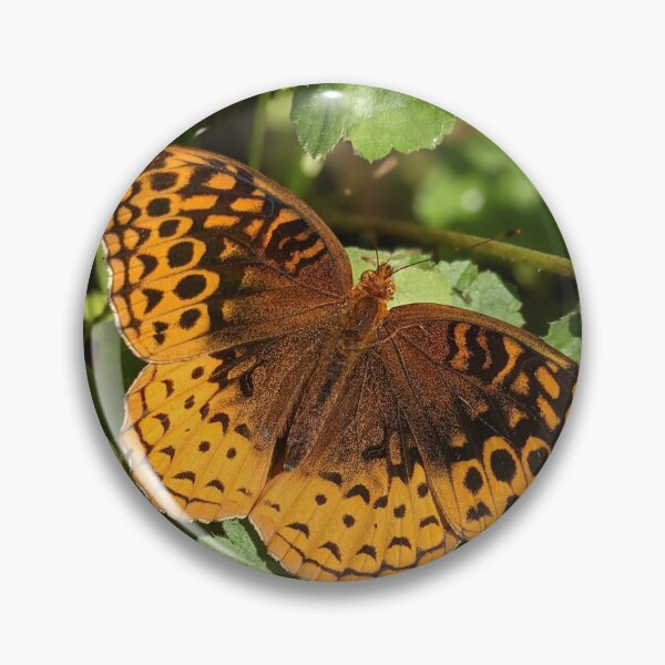 Item preview, Butterfly sunbathing designed and sold by memorguson.