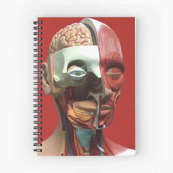 Item preview, Dummy designed and sold by derbyisdead.