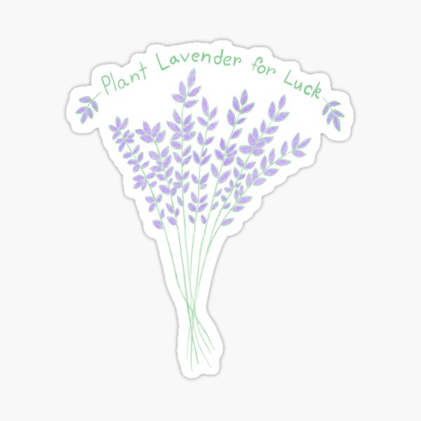 Plant Lavender for Luck - lavender purple & sage green - black background Sticker