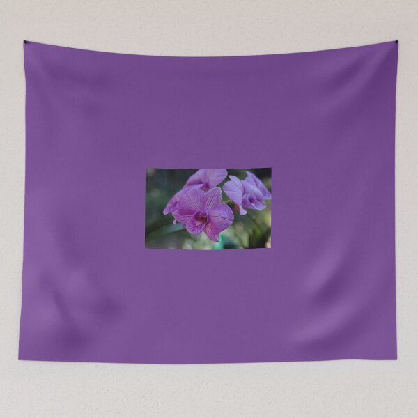 Item preview, A Treasure for Trisha designed and sold by Michiale.