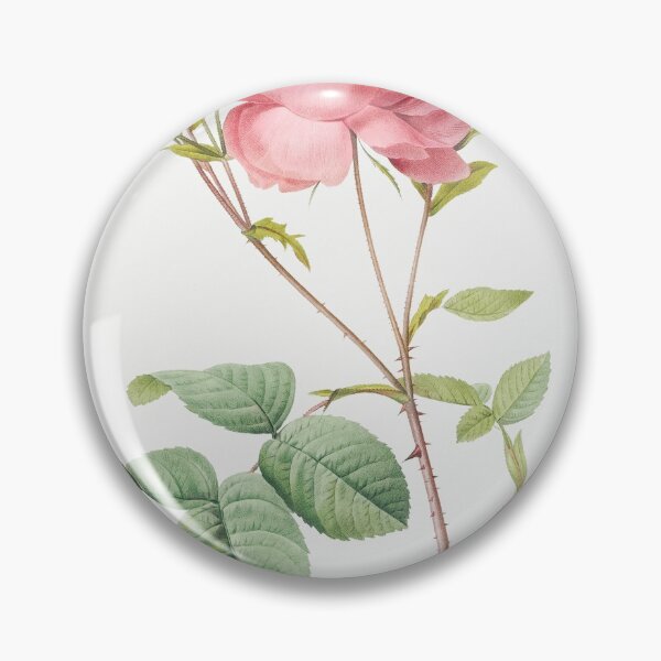 Item preview, Les Roses by Pierre-Joseph Redouté designed and sold by EsotericBotanic.