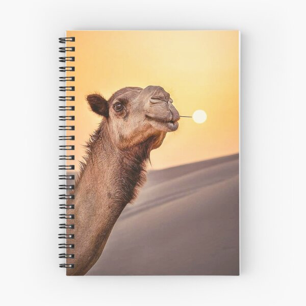 Item preview, Mágico desierto del Sahara marroquí - Nueva impresión designed and sold by BestOfTravel.