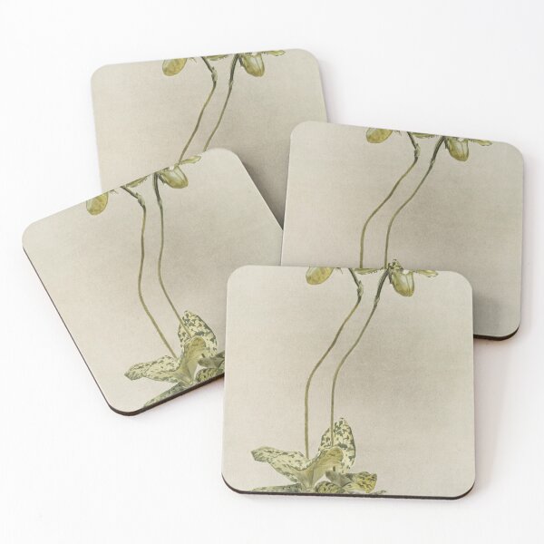 Item preview, Reichenbachia: Orchids Illustrated and Described designed and sold by EsotericBotanic.