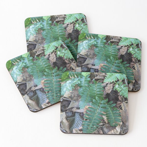 Item preview, Fern in the woods designed and sold by memorguson.