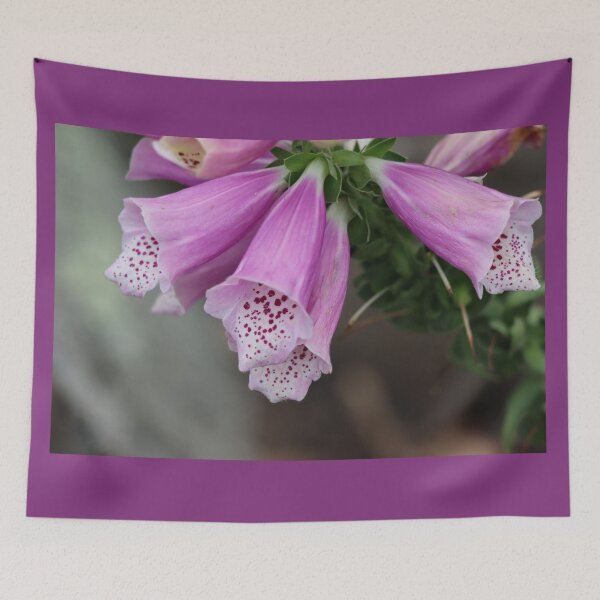 Item preview, Foxglove Flowers in Bloom designed and sold by LisaNaturePhoto.
