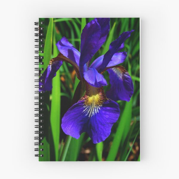 Item preview, Siberian Iris designed and sold by Michiale.