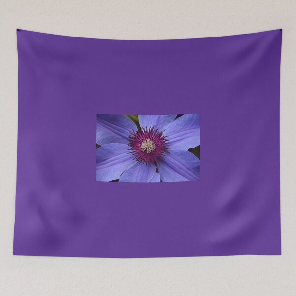 Item preview, Summer of Surprises designed and sold by Michiale.