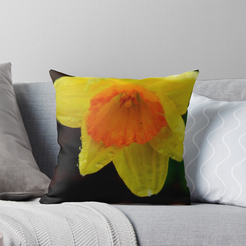 Item preview, Throw Pillow designed and sold by pgavin50.