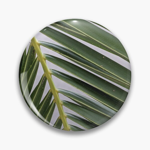 Item preview, Palm Tree designed and sold by Tropicx.