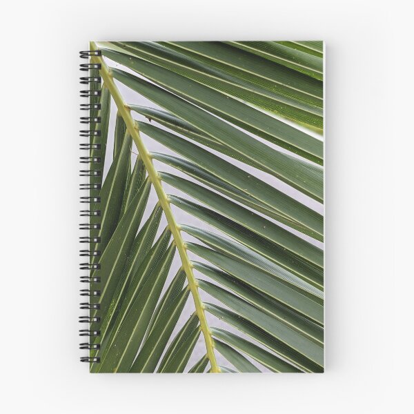 Item preview, Palmera designed and sold by Tropicx.