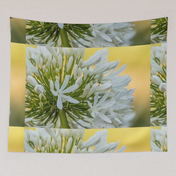Item preview, White flowers, cute and beautiful blossoms, spring time, Agapanthus. designed and sold by AylaHarbich.
