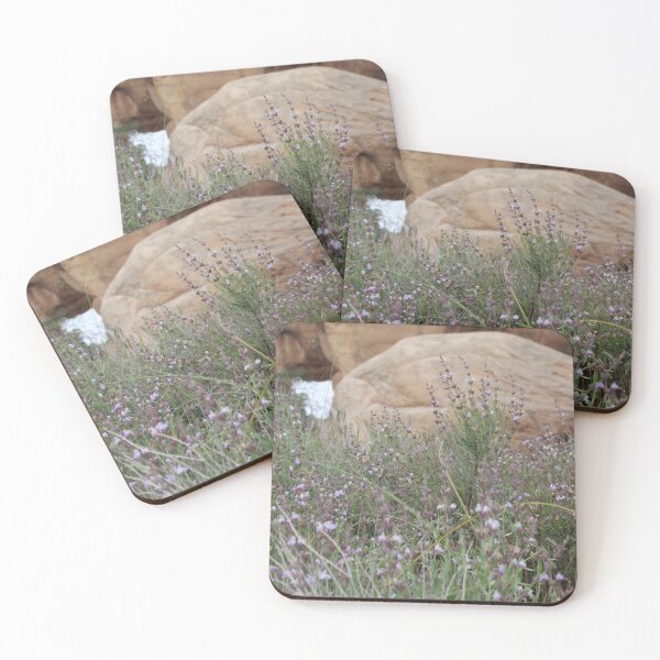Item preview, Desert Flower designed and sold by Miranda Carlton.