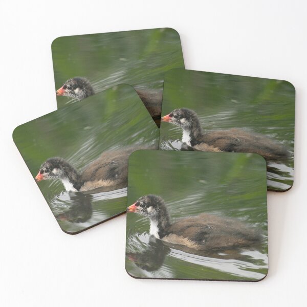 Item preview, Baby Moorhen on the Water. designed and sold by GingerMan2550.