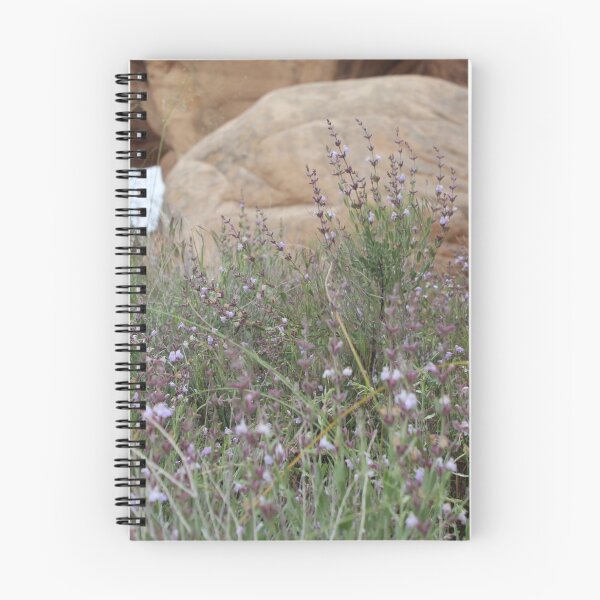 Aperçu de l'œuvre Fleur du DESERT créée et vendue par Miranda Carlton.