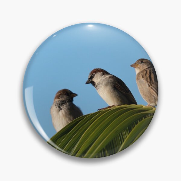 Item preview, Trio, humble house sparrow designed and sold by Brian Scantlebury.