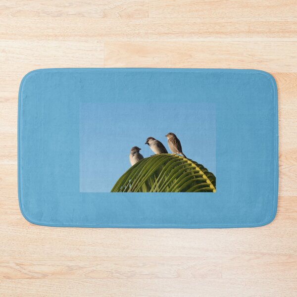 Item preview, Trio, humble house sparrow designed and sold by Brian Scantlebury.