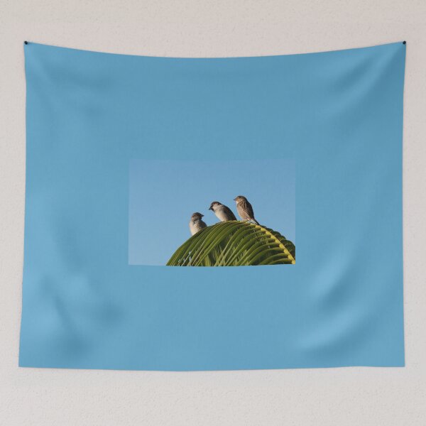 Item preview, Trio, humble house sparrow designed and sold by Brian Scantlebury.