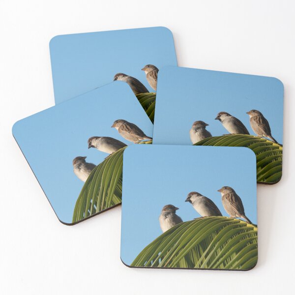 Item preview, Trio, humble house sparrow designed and sold by Brian Scantlebury.