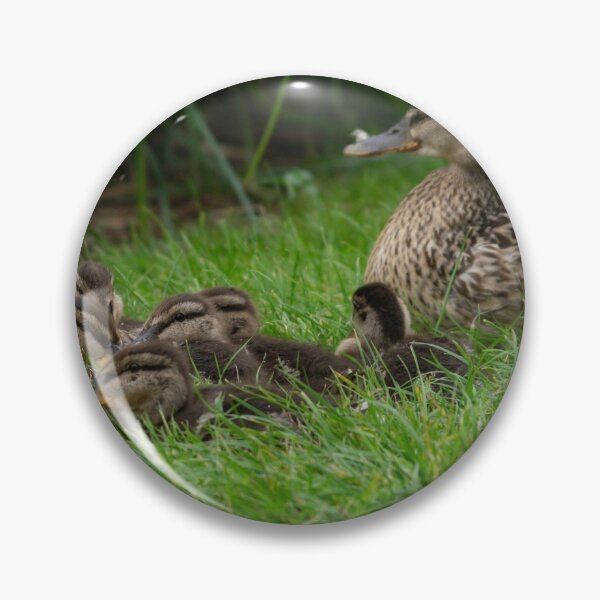 Item preview, The Mallard Family. designed and sold by GingerMan2550.