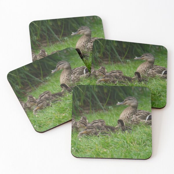 Item preview, The Mallard Family. designed and sold by GingerMan2550.