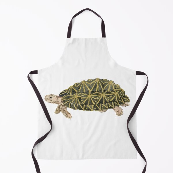 Item preview, Psammobates Tentorius - Tent Turtle - by Robert Jacob Gordon (1776-1786)an designed and sold by Fiona-Lynn Designs.