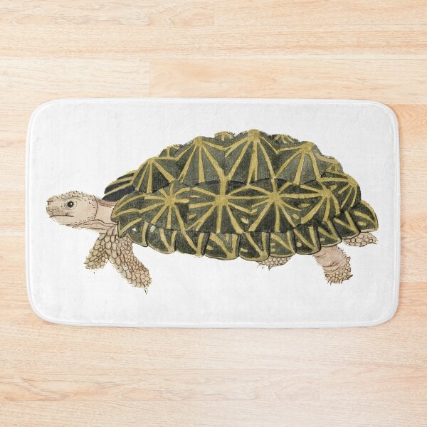 Item preview, Psammobates Tentorius - Tent Turtle - by Robert Jacob Gordon (1776-1786)an designed and sold by Fiona-Lynn Designs.