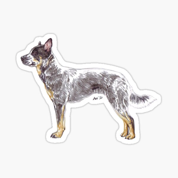 Item preview, Australian Cattle Dog Breed Show Stack Stand designed and sold by Amber Westwood.