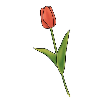 Artwork thumbnail, Tulip by Reeseworks