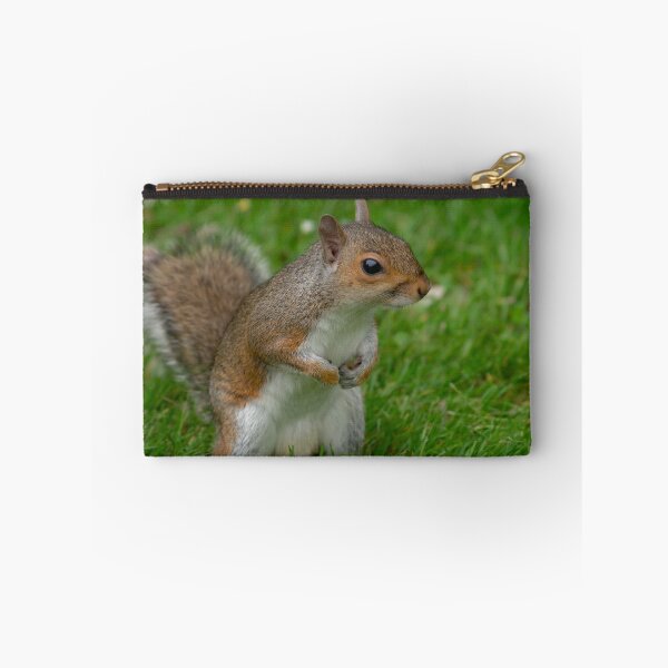 Item preview, Squirrel on the Hunt. designed and sold by GingerMan2550.