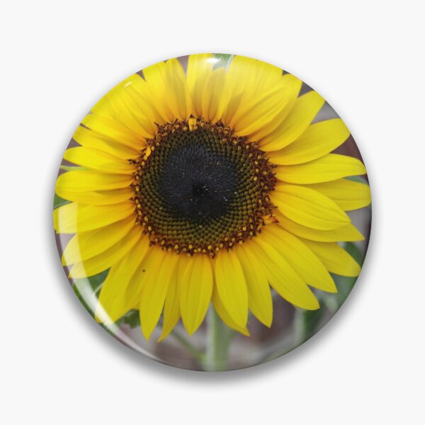 Item preview, Iowa, Summer 2021 #21 designed and sold by Rachel Jeffrey.