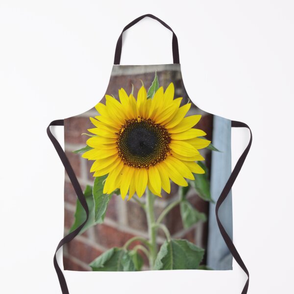 Item preview, Iowa, Summer 2021 #21 designed and sold by Rachel Jeffrey.