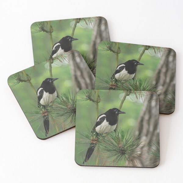 Item preview, Magpie in the Pine. designed and sold by GingerMan2550.