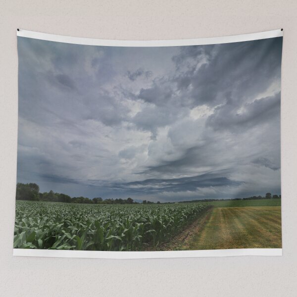 Item preview, Iowa, Summer 2021 #26 designed and sold by Rachel Jeffrey.
