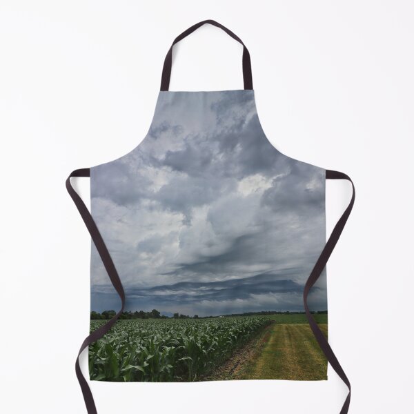 Item preview, Iowa, Summer 2021 #26 designed and sold by Rachel Jeffrey.