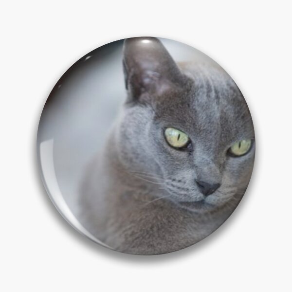 Item preview, Un gato de excelencia con un diseño único designed and sold by som shop.