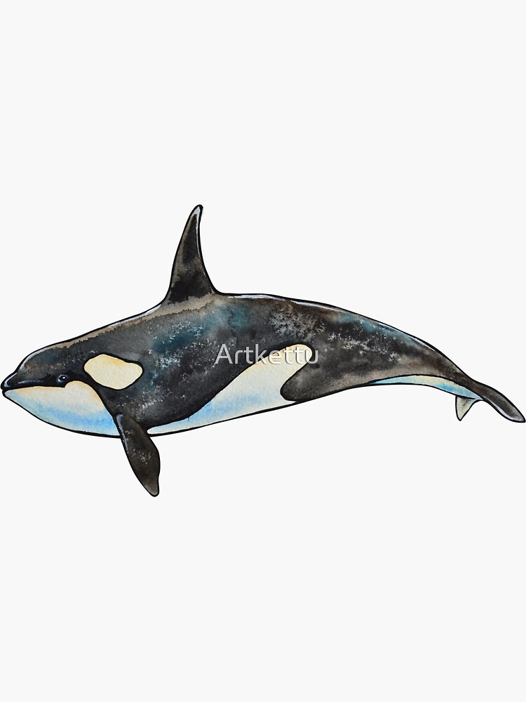 Orca on blue by Artkettu