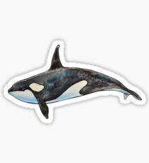 Orca auf Blau Sticker
