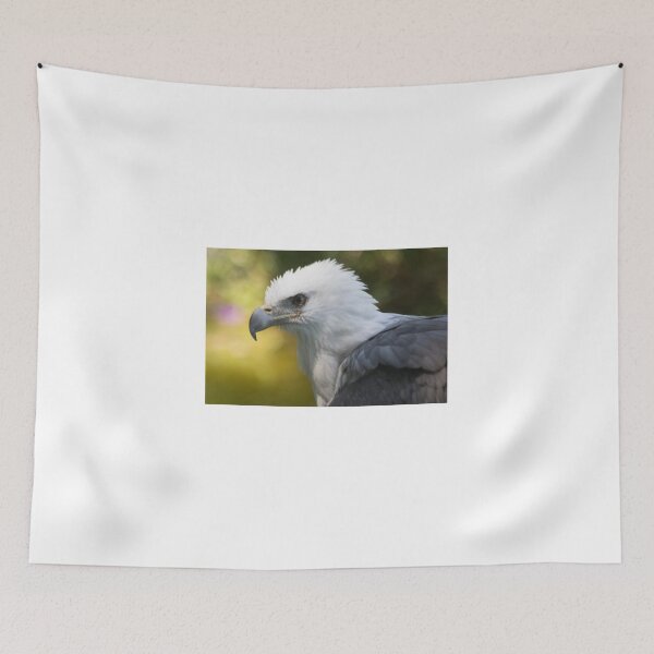 Item preview, Focus designed and sold by byronbackyard.