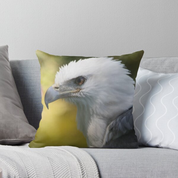 Item preview, Focus designed and sold by byronbackyard.