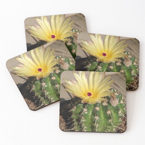 Item preview, Blooming lemon ball cactus designed and sold by memorguson.