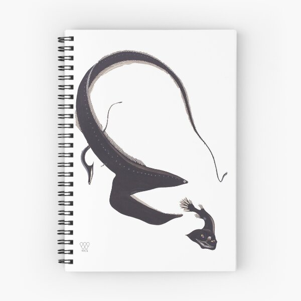 Item preview, Gulper Eel Chasing Deep Sea Fish designed and sold by WCS-Archives.