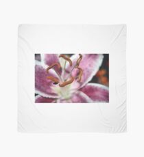 STAMEN Scarf