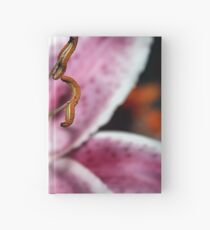 STAMEN Hardcover Journal