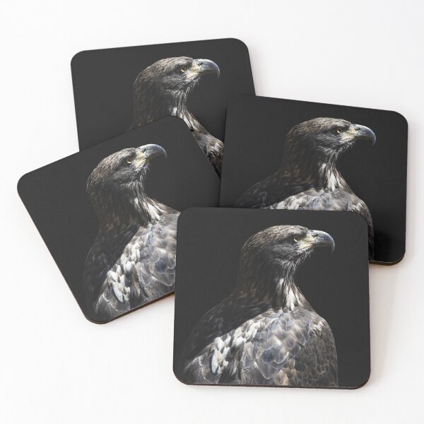 Item preview, Eagle I designed and sold by rodriguesfhs.