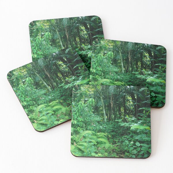 Item preview, Rainforest Jungle In Micronesia's Palau South Pacific Islands  designed and sold by DEC02.