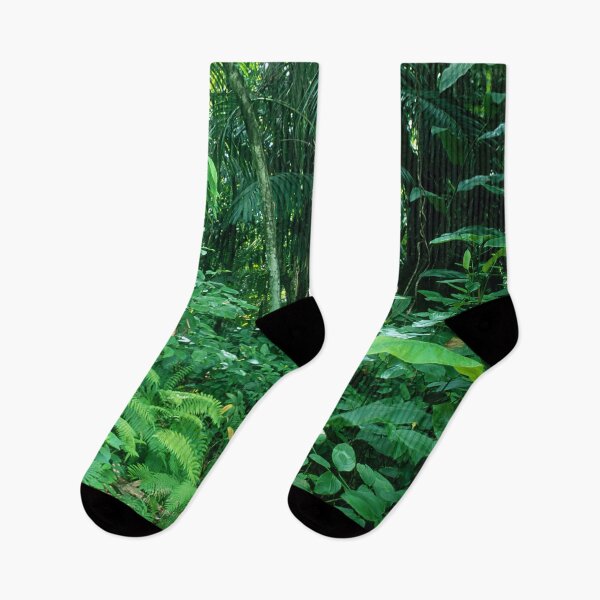 Item preview, Rainforest Jungle In Micronesia's Palau South Pacific Islands  designed and sold by DEC02.