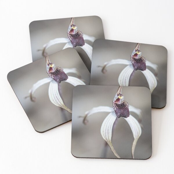 Item preview, winters orchid designed and sold by MagsM.