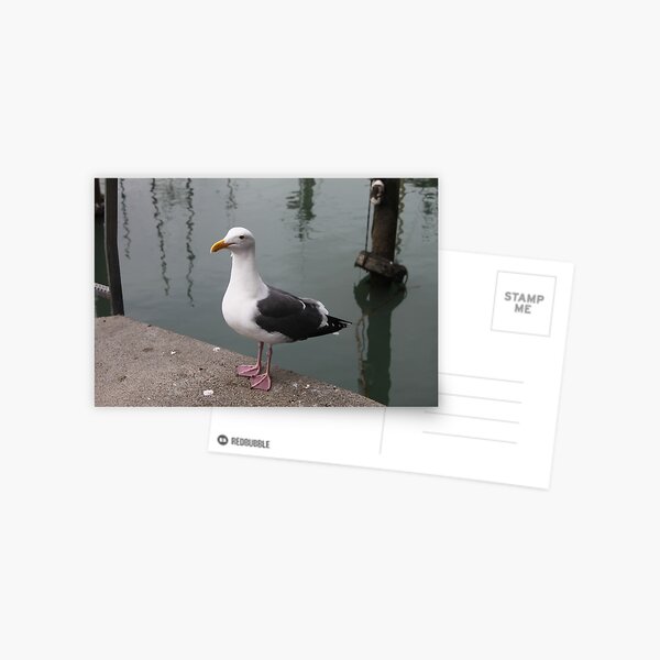 Item preview, The Western Gull...... designed and sold by DonnaMoore.